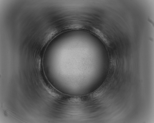 X0000098140110200804241724