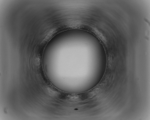 X0000098140113200804241724