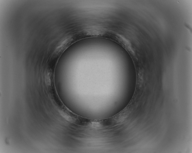 X0000098140114200804241724