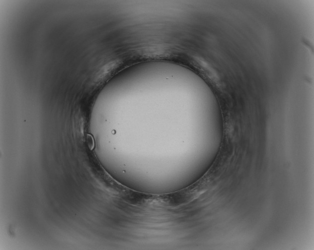 X0000098140115200804241724