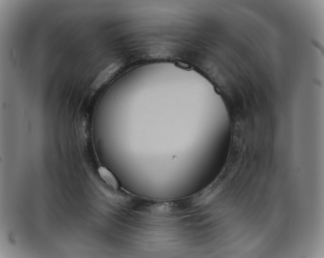 X0000098140116200804241724
