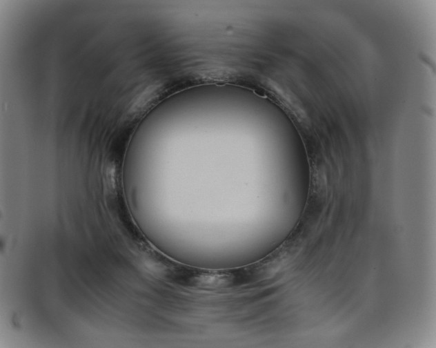 X0000098140117200804241724