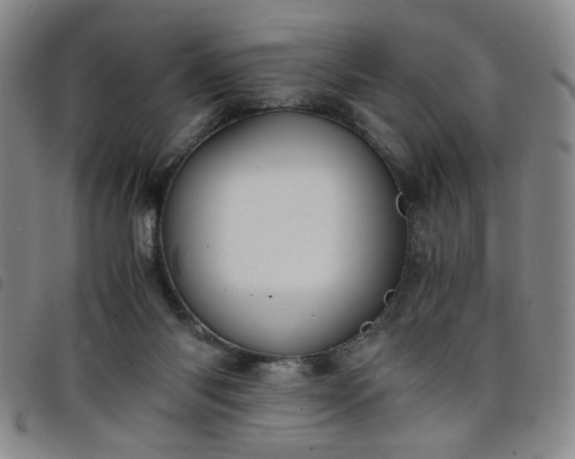 X0000098140118200804241724