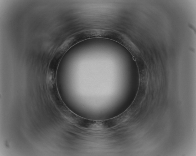 X0000098140119200804241723