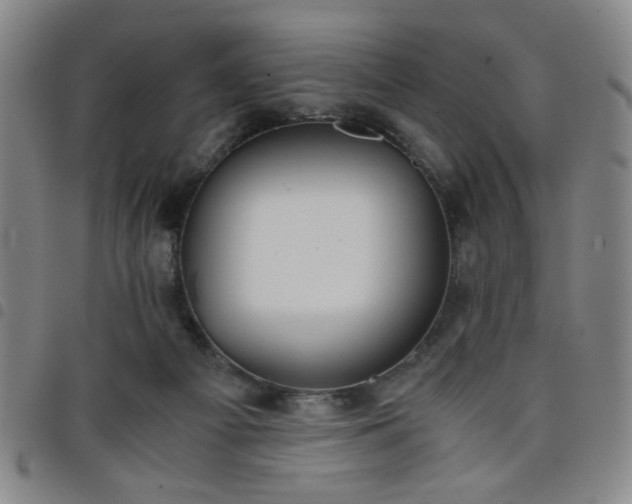 X0000098140121200804241723