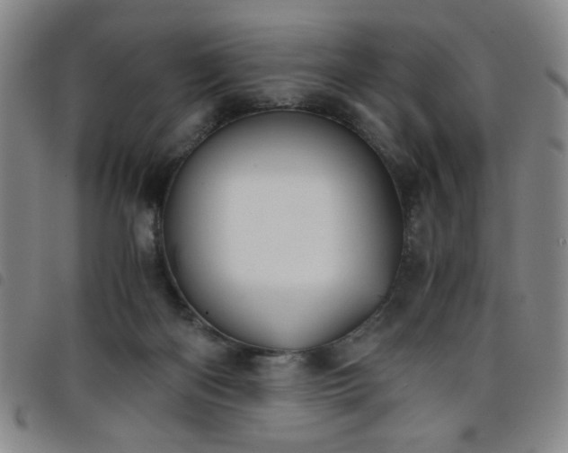X0000098140122200804241723