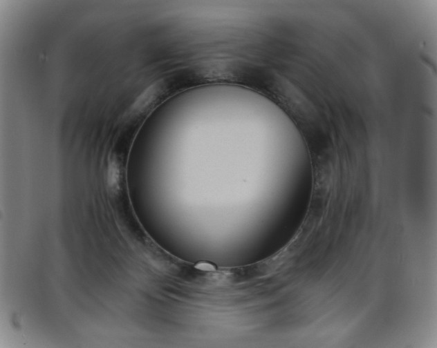 X0000098140124200804241723