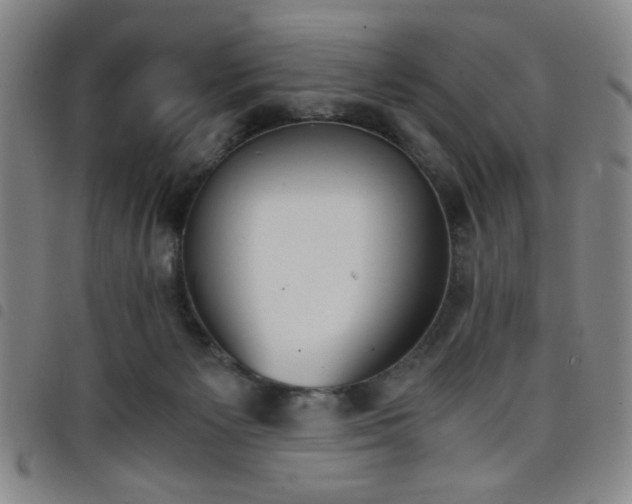 X0000098140125200804241723