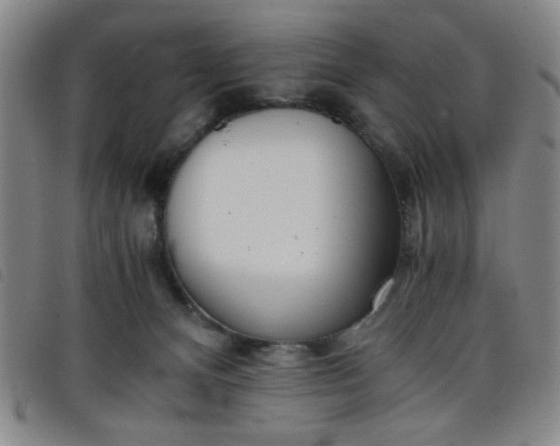 X0000098140128200804241723