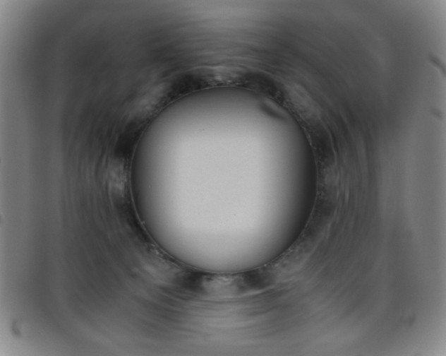 X0000098140129200804241723