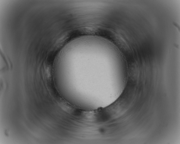 X0000098140131200804241723