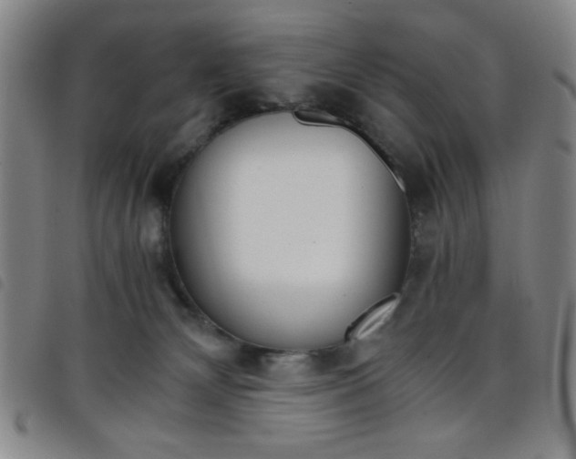 X0000098140132200804241723