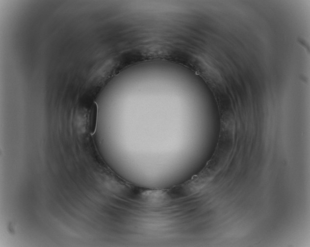 X0000098140133200804241723