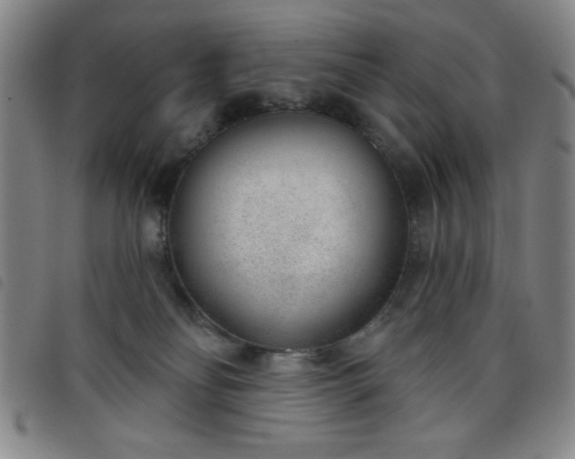 X0000098140134200804241723