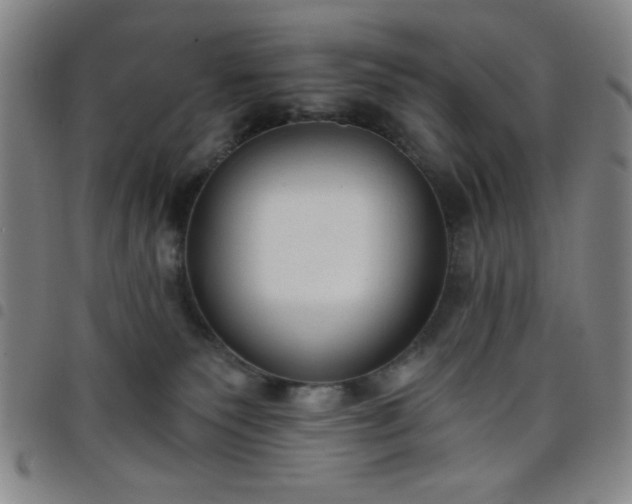 X0000098140135200804241723