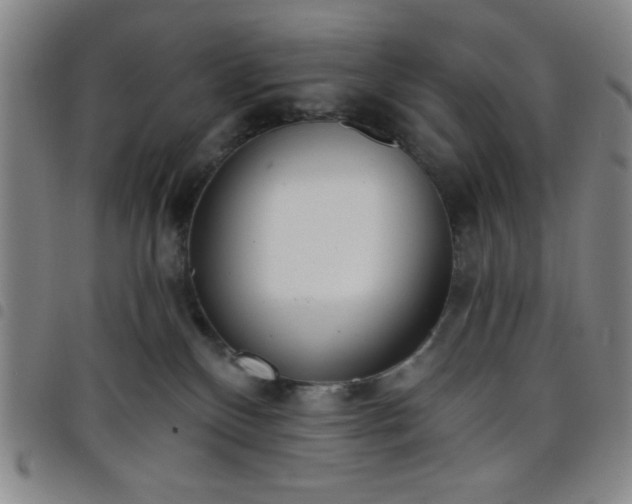 X0000098140136200804241723