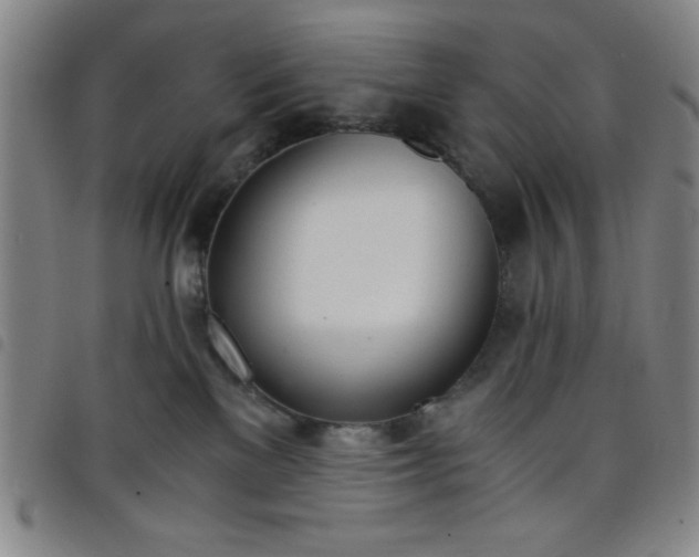 X0000098140137200804241723