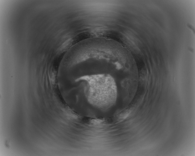 X0000098140139200804241723