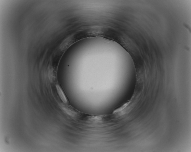 X0000098140140200804241723