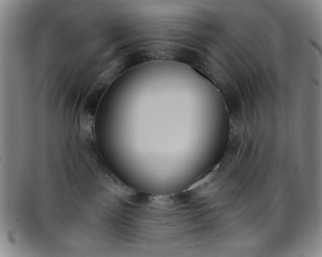 X0000098140141200804241723