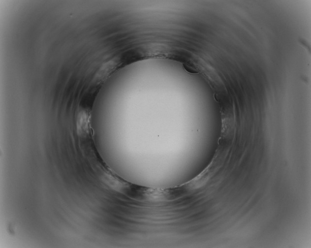 X0000098140142200804241723