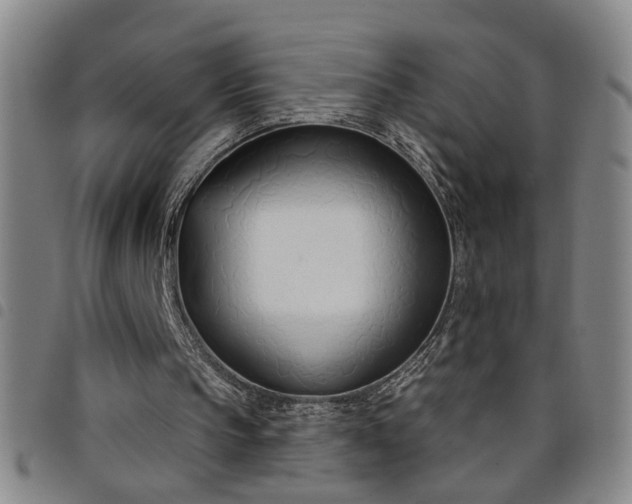 X0000098140145200804241722
