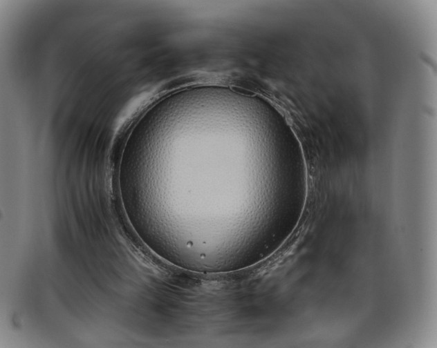 X0000098140149200804241722