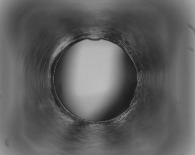 X0000098140150200804241722