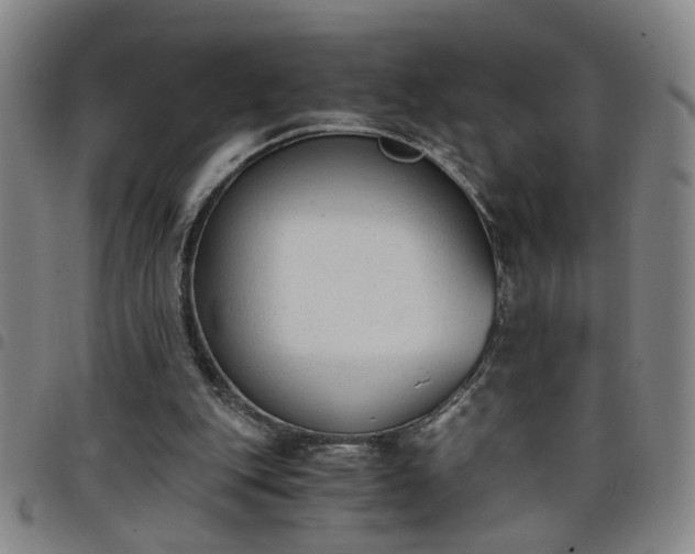 X0000098140151200804241722