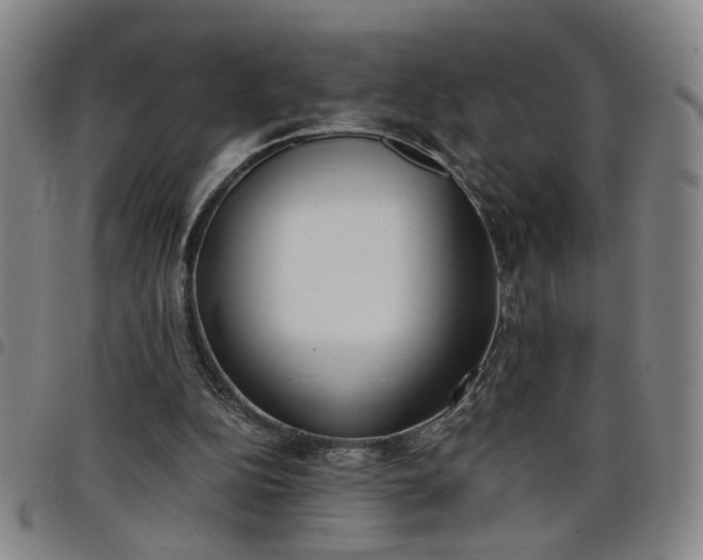 X0000098140152200804241722