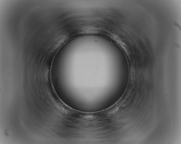 X0000098140153200804241722