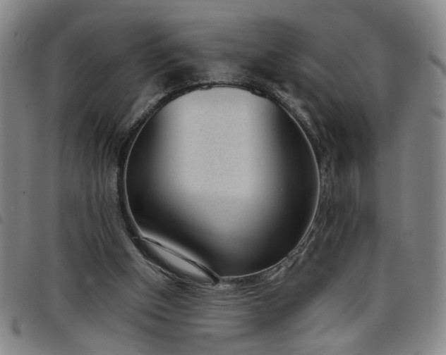 X0000098140154200804241722