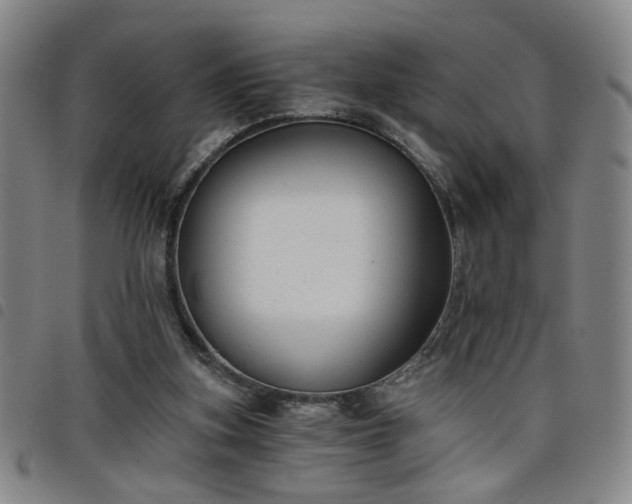 X0000098140155200804241722