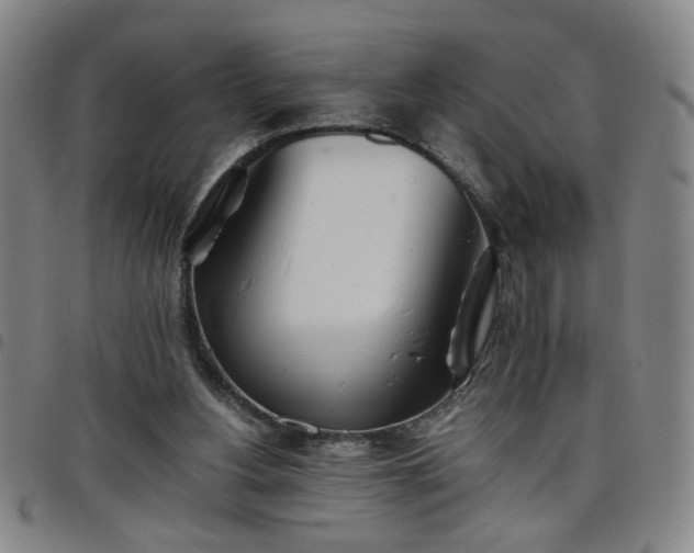 X0000098140156200804241722