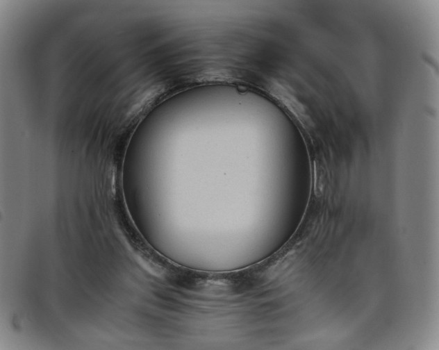 X0000098140157200804241722