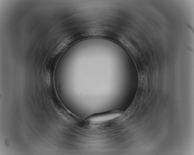 X0000098140158200804241722