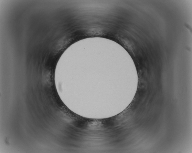 X0000098140162200804241722