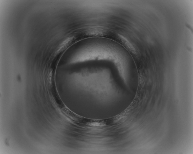 X0000098140163200804241722