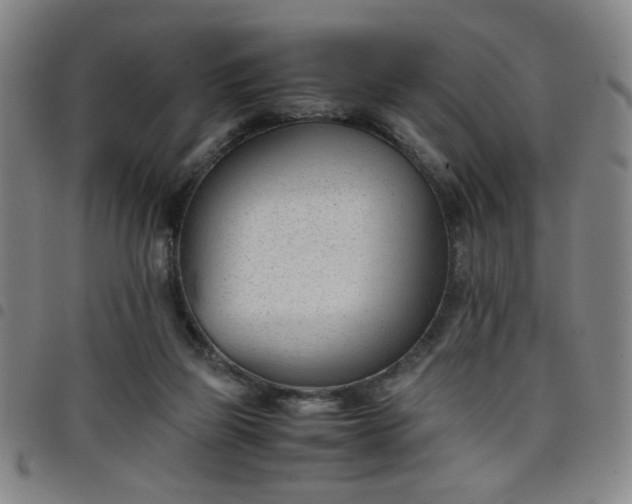 X0000098140165200804241722