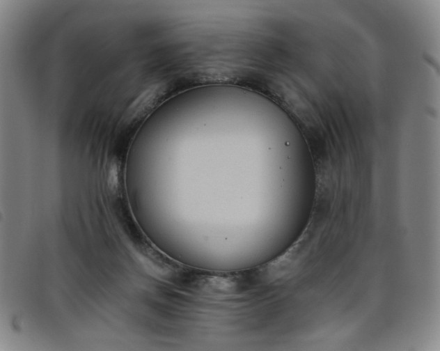 X0000098140166200804241722