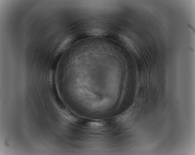 X0000098140167200804241722
