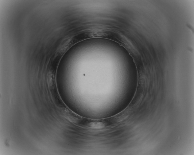X0000098140169200804241722
