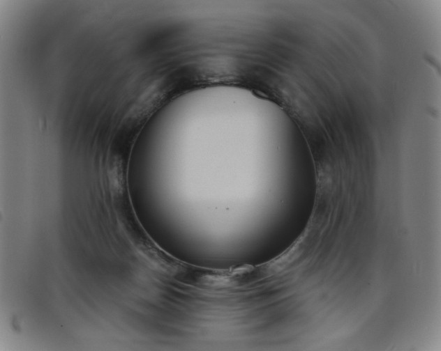 X0000098140170200804241722