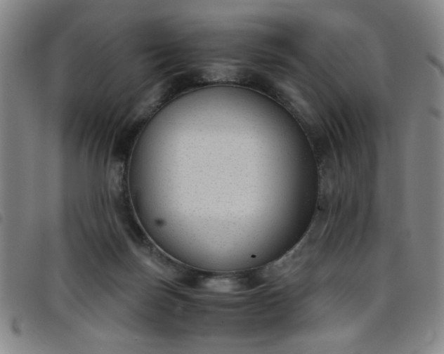 X0000098140171200804241722