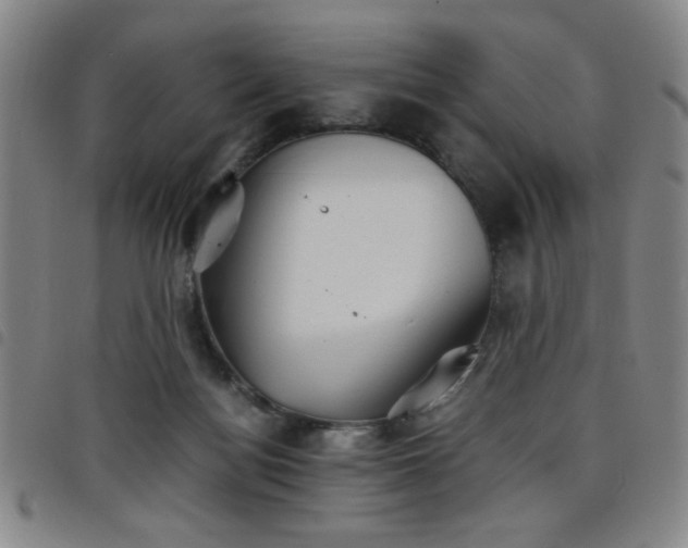 X0000098140172200804241722