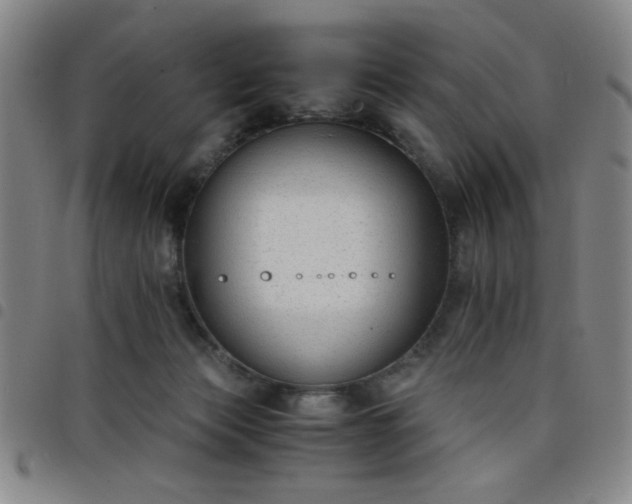 X0000098140173200804241723