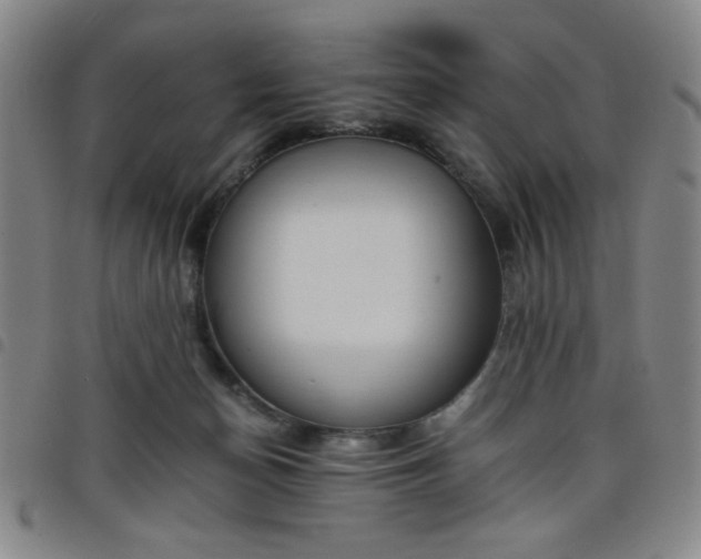 X0000098140174200804241723