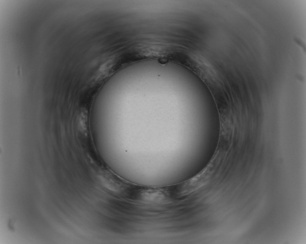 X0000098140175200804241723
