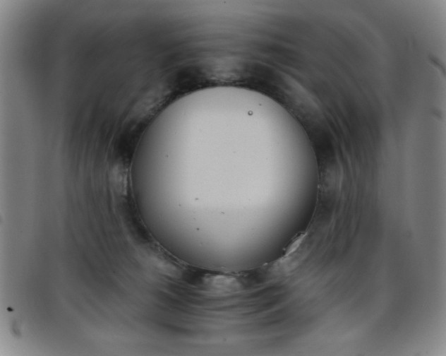 X0000098140180200804241723