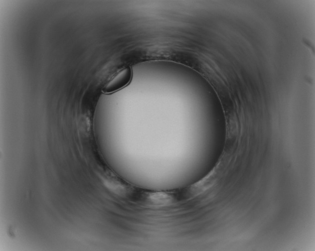 X0000098140183200804241723